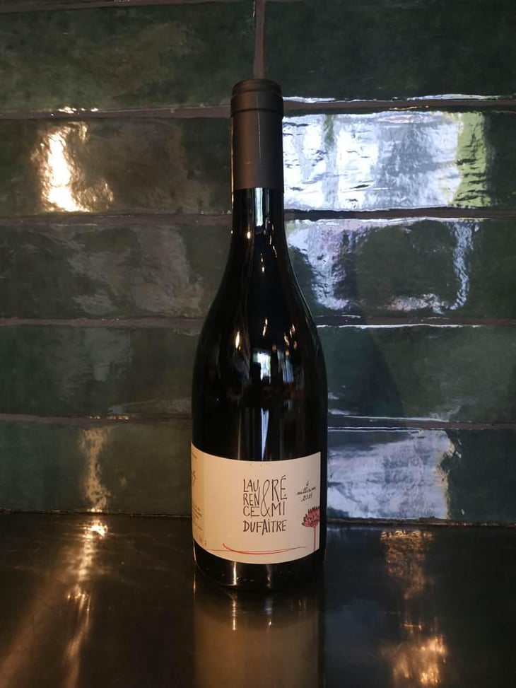 Brouilly - Domaine de Botheland - Rémi Dufaitre & Laurence Liatard 