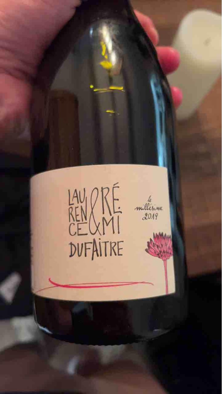 Brouilly - Domaine de Botheland - Rémi Dufaitre & Laurence Liatard 