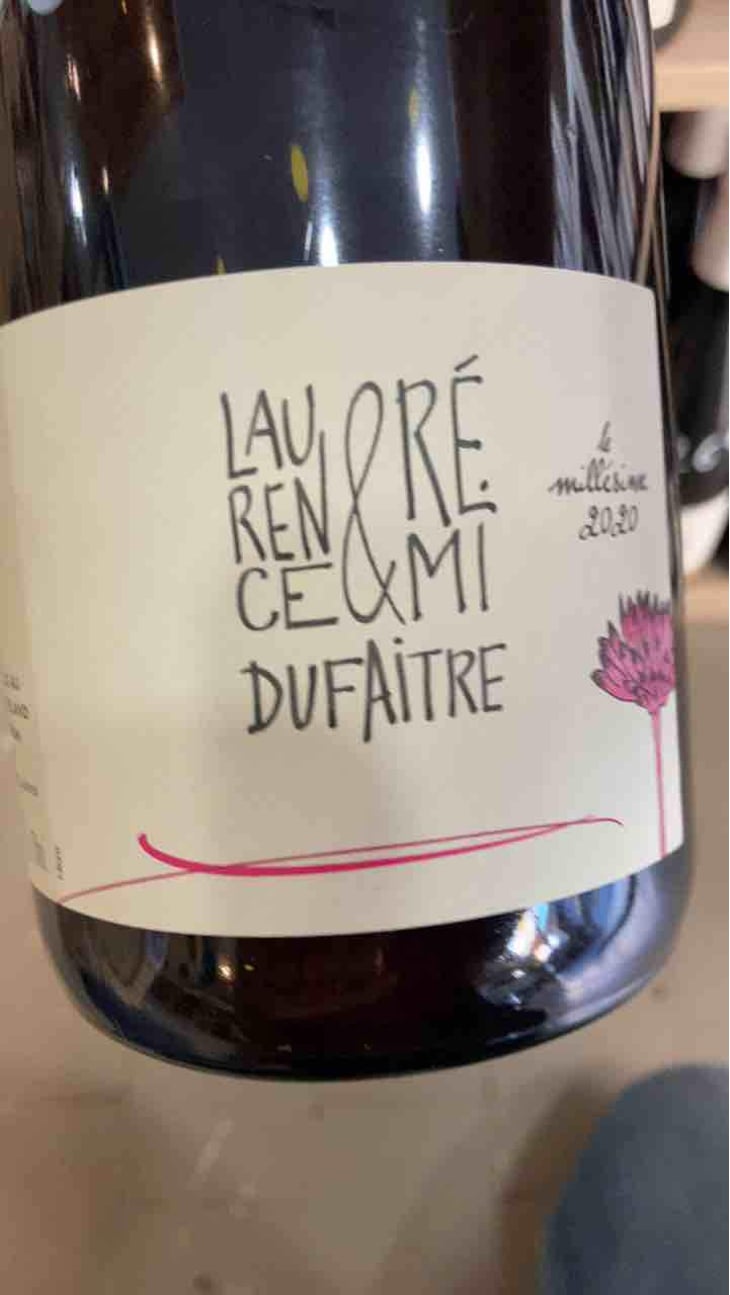 Brouilly - Domaine de Botheland - Rémi Dufaitre & Laurence Liatard 