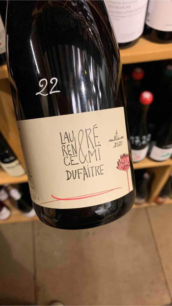 Brouilly - Domaine de Botheland - Rémi Dufaitre & Laurence Liatard 