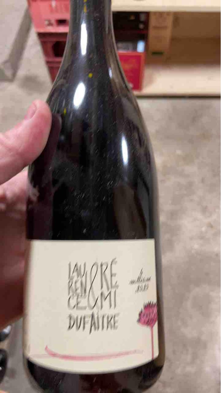 Brouilly - Domaine de Botheland - Rémi Dufaitre & Laurence Liatard 