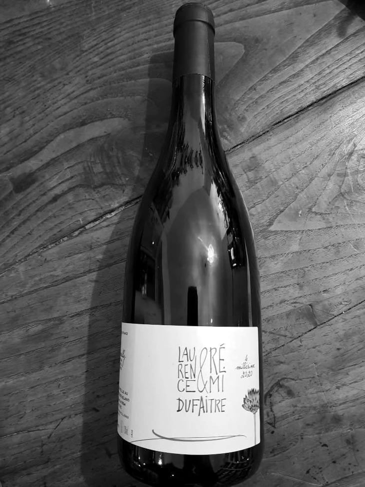 Brouilly - Domaine de Botheland - Rémi Dufaitre & Laurence Liatard 