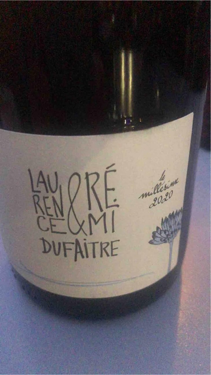 Brouilly - Domaine de Botheland - Rémi Dufaitre & Laurence Liatard 