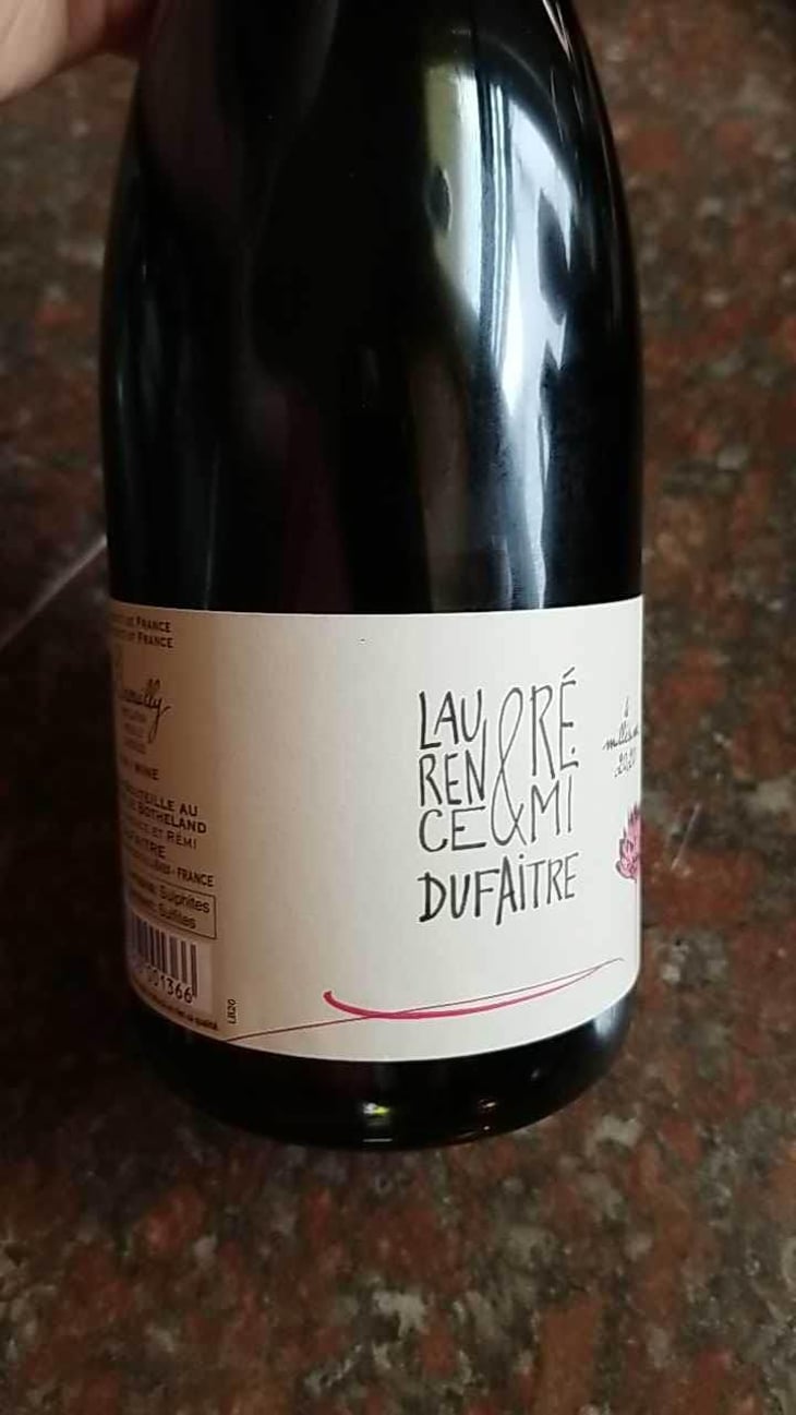 Brouilly - Domaine de Botheland - Rémi Dufaitre & Laurence Liatard 