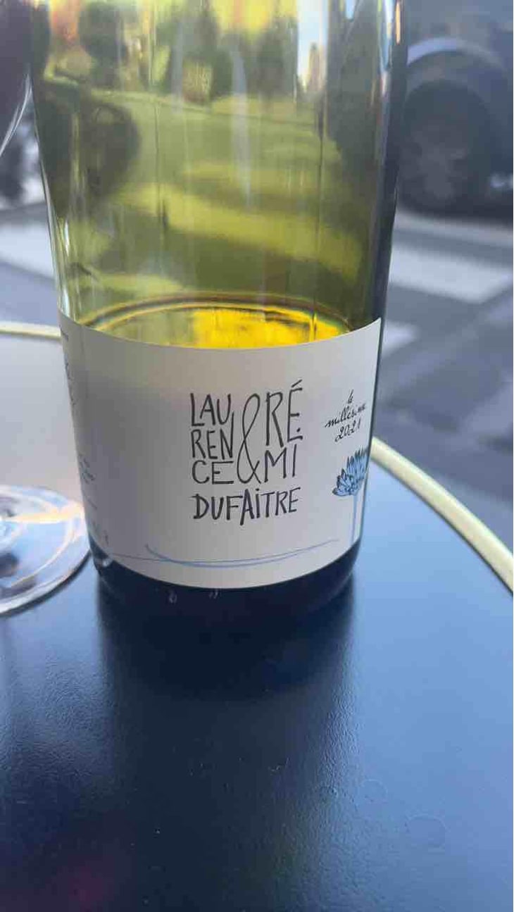 Brouilly - Domaine de Botheland - Rémi Dufaitre & Laurence Liatard 