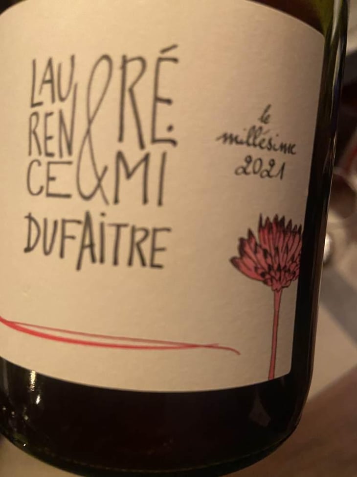Brouilly - Domaine de Botheland - Rémi Dufaitre & Laurence Liatard 