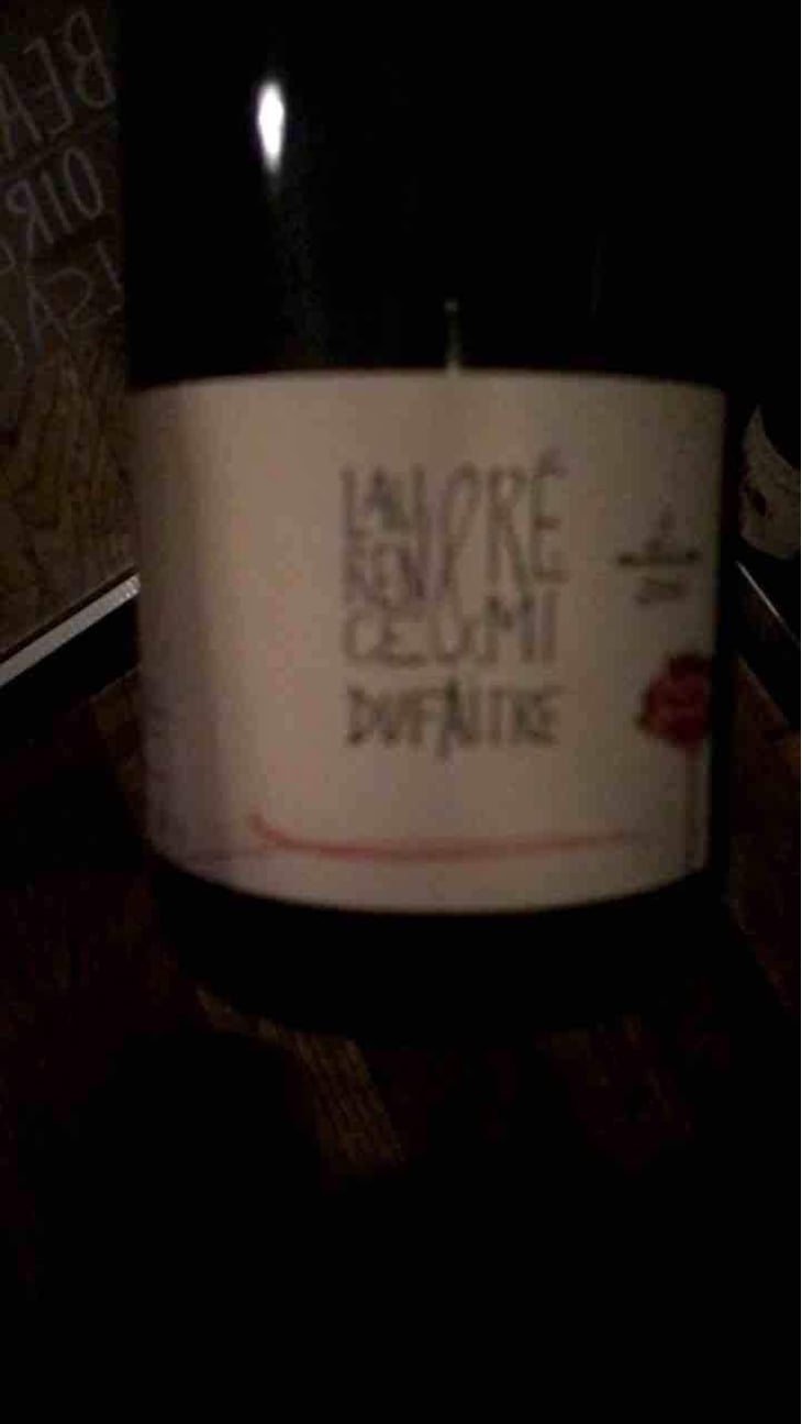 Brouilly - Domaine de Botheland - Rémi Dufaitre & Laurence Liatard 