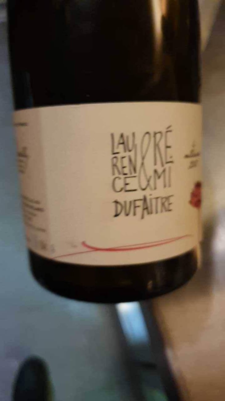 Brouilly - Domaine de Botheland - Rémi Dufaitre & Laurence Liatard 