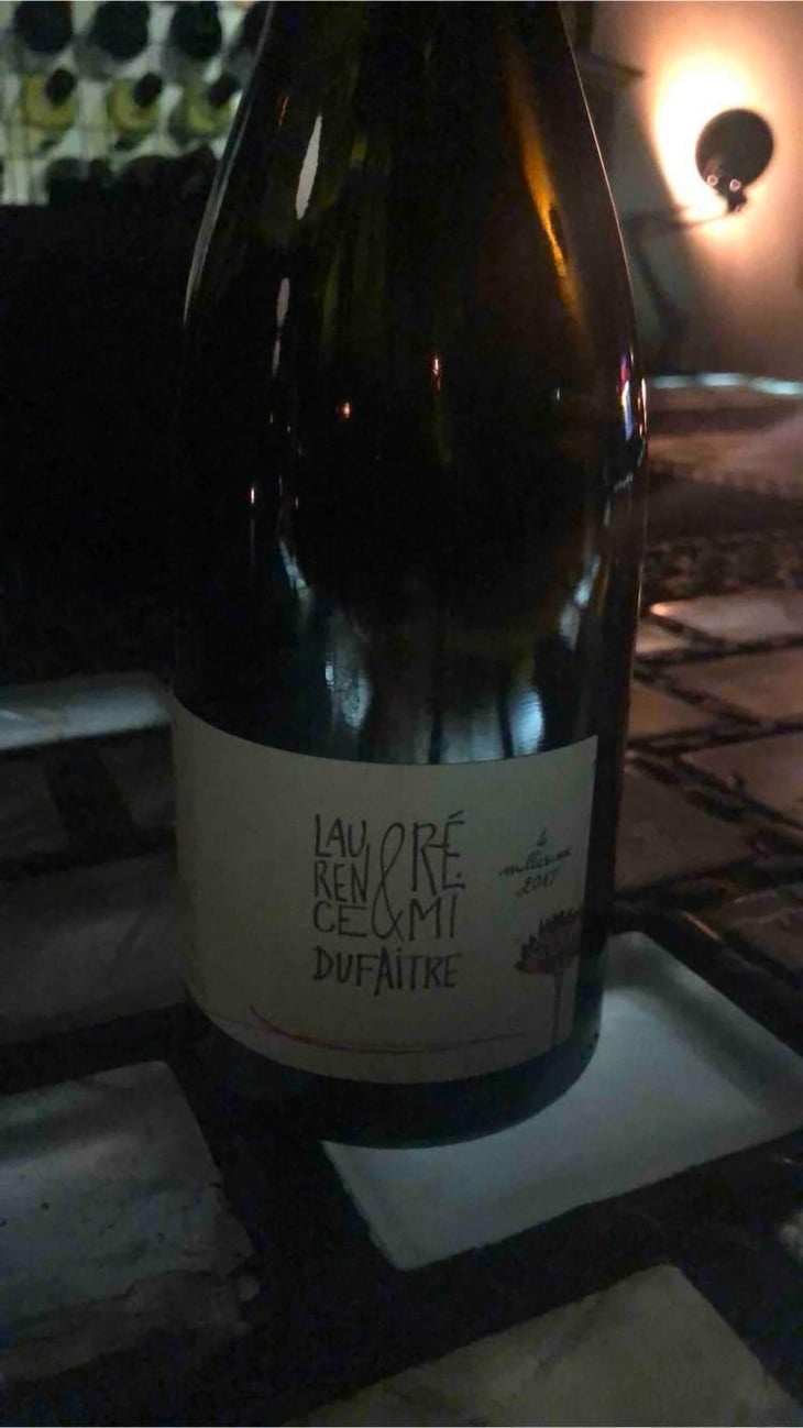 Brouilly - Domaine de Botheland - Rémi Dufaitre & Laurence Liatard 