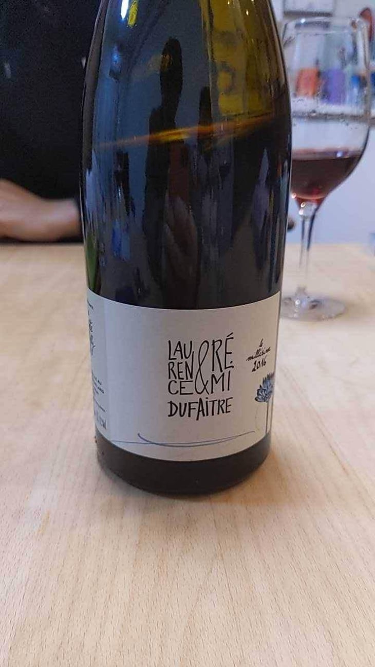 Brouilly - Domaine de Botheland - Rémi Dufaitre & Laurence Liatard 