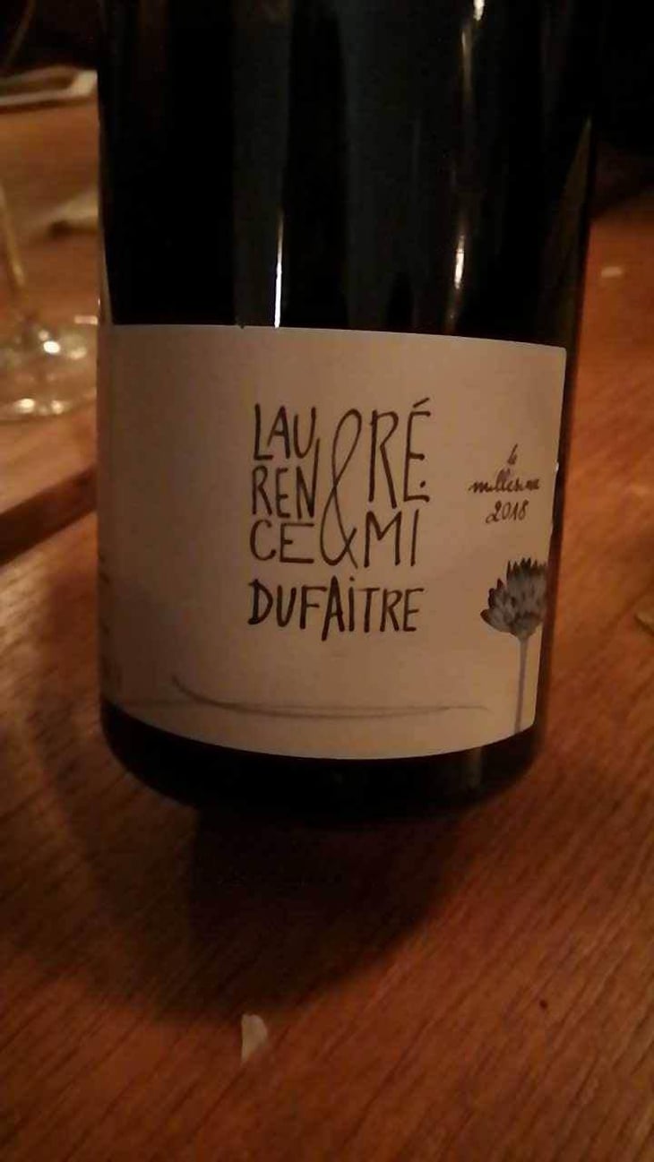 Brouilly - Domaine de Botheland - Rémi Dufaitre & Laurence Liatard 