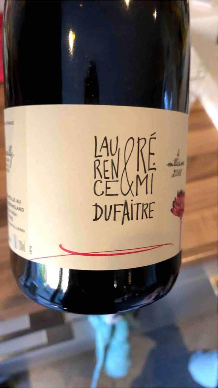Brouilly - Domaine de Botheland - Rémi Dufaitre & Laurence Liatard 