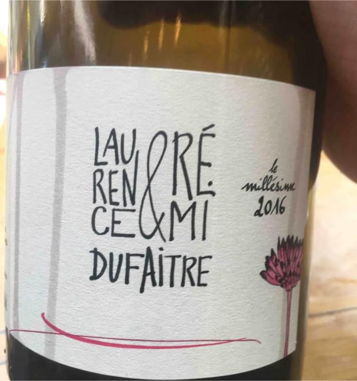 Brouilly - Domaine de Botheland - Rémi Dufaitre & Laurence Liatard 