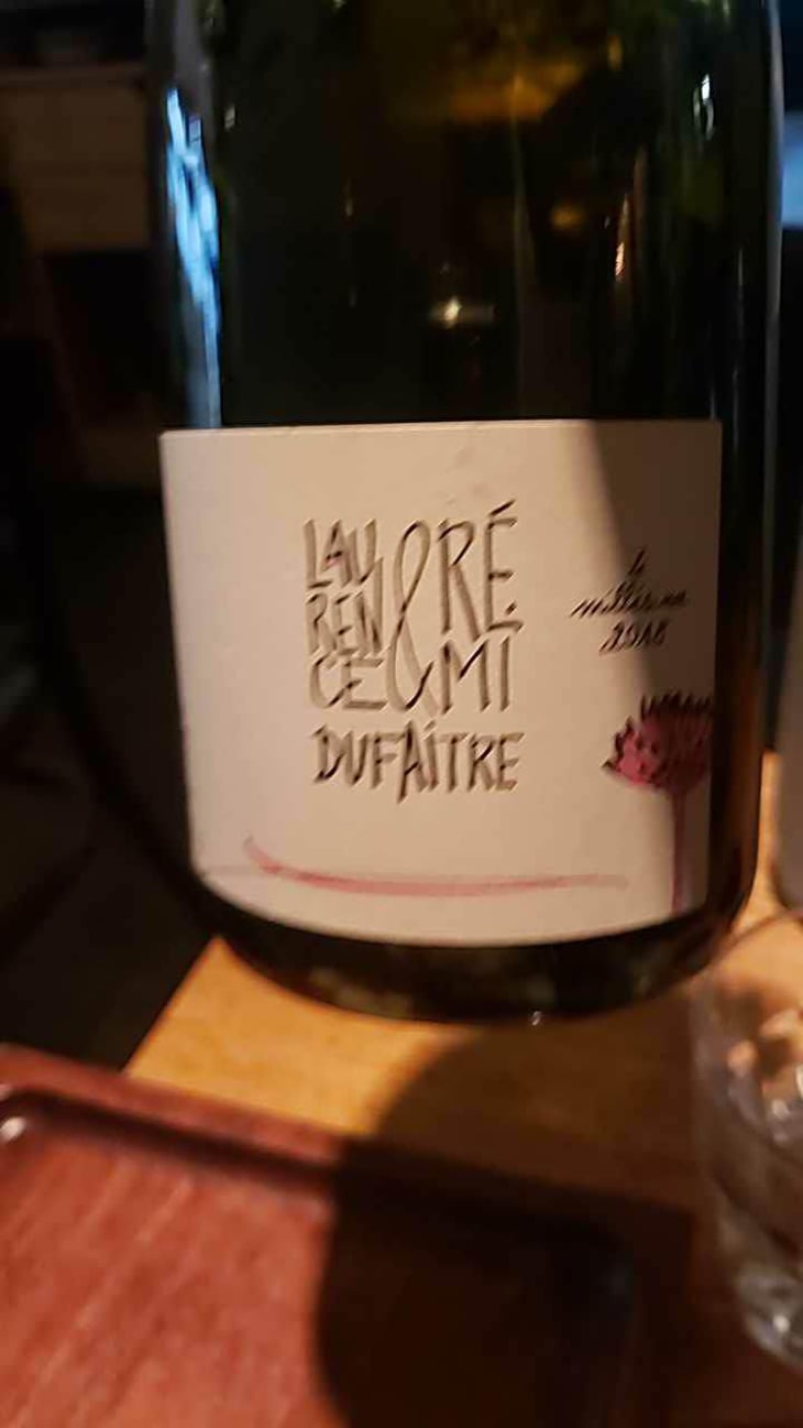 Brouilly - Domaine de Botheland - Rémi Dufaitre & Laurence Liatard 