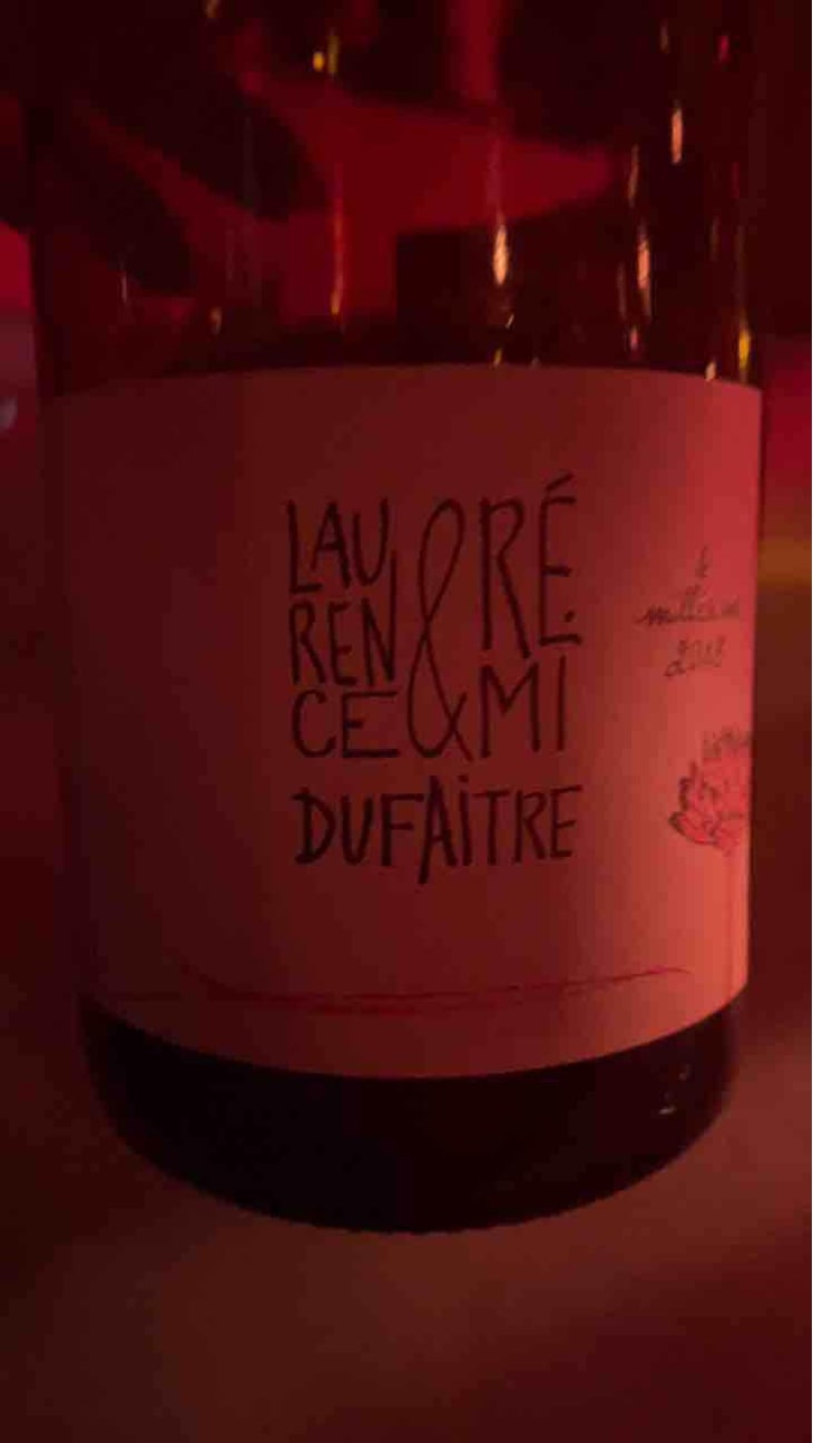 Brouilly - Domaine de Botheland - Rémi Dufaitre & Laurence Liatard 