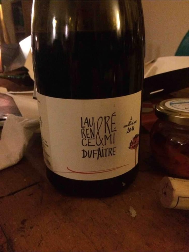 Brouilly - Domaine de Botheland - Rémi Dufaitre & Laurence Liatard 