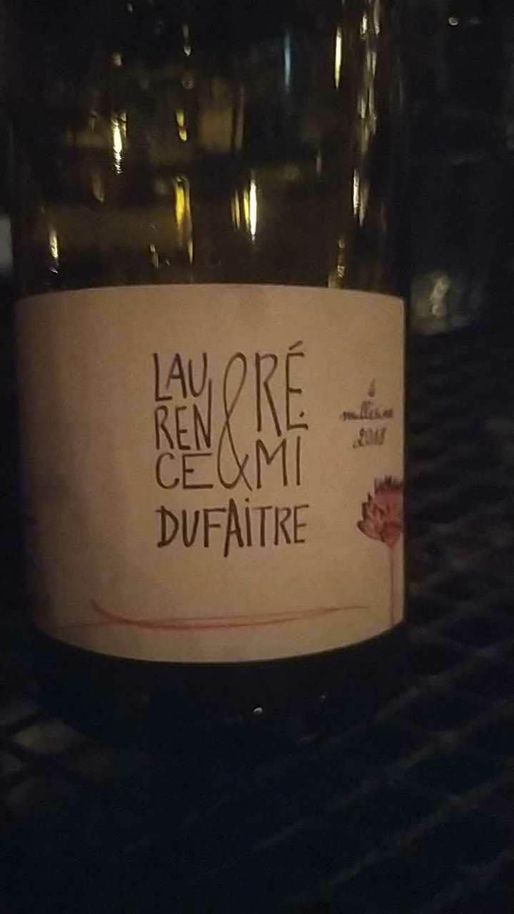Brouilly - Domaine de Botheland - Rémi Dufaitre & Laurence Liatard 