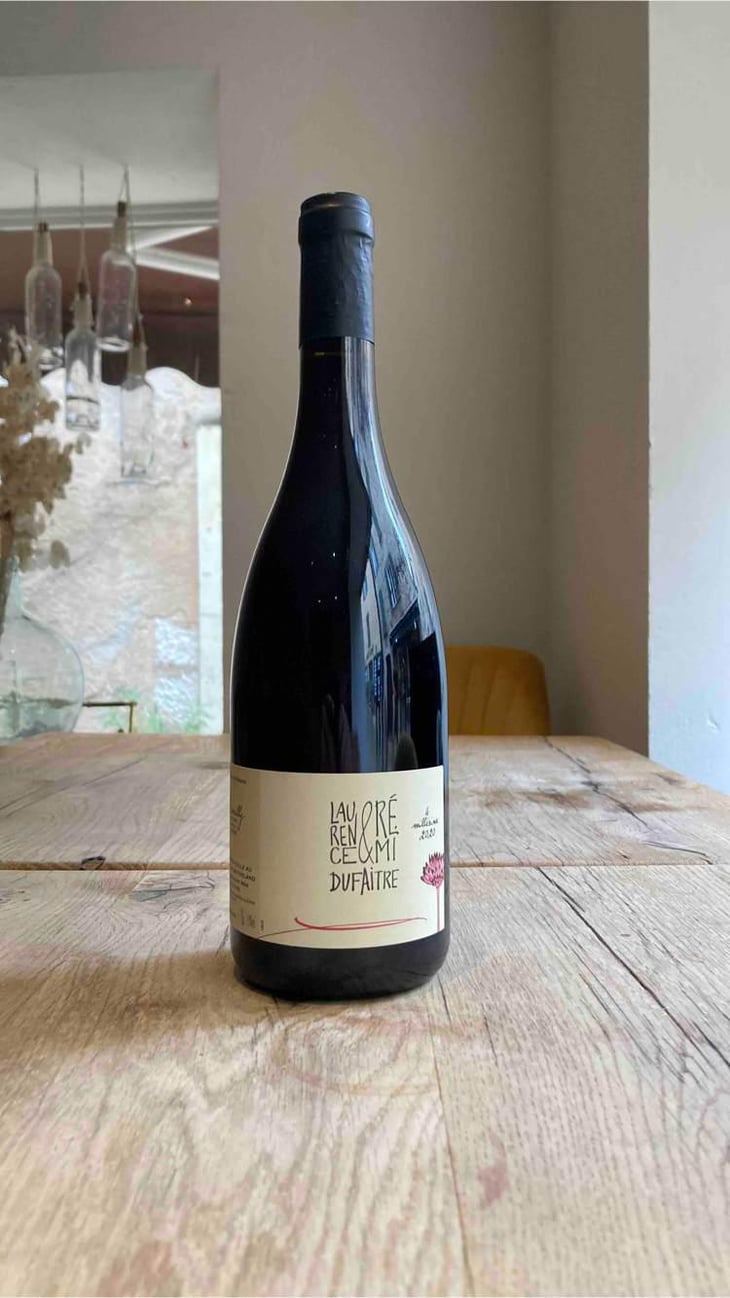 Brouilly - Domaine de Botheland - Rémi Dufaitre & Laurence Liatard 