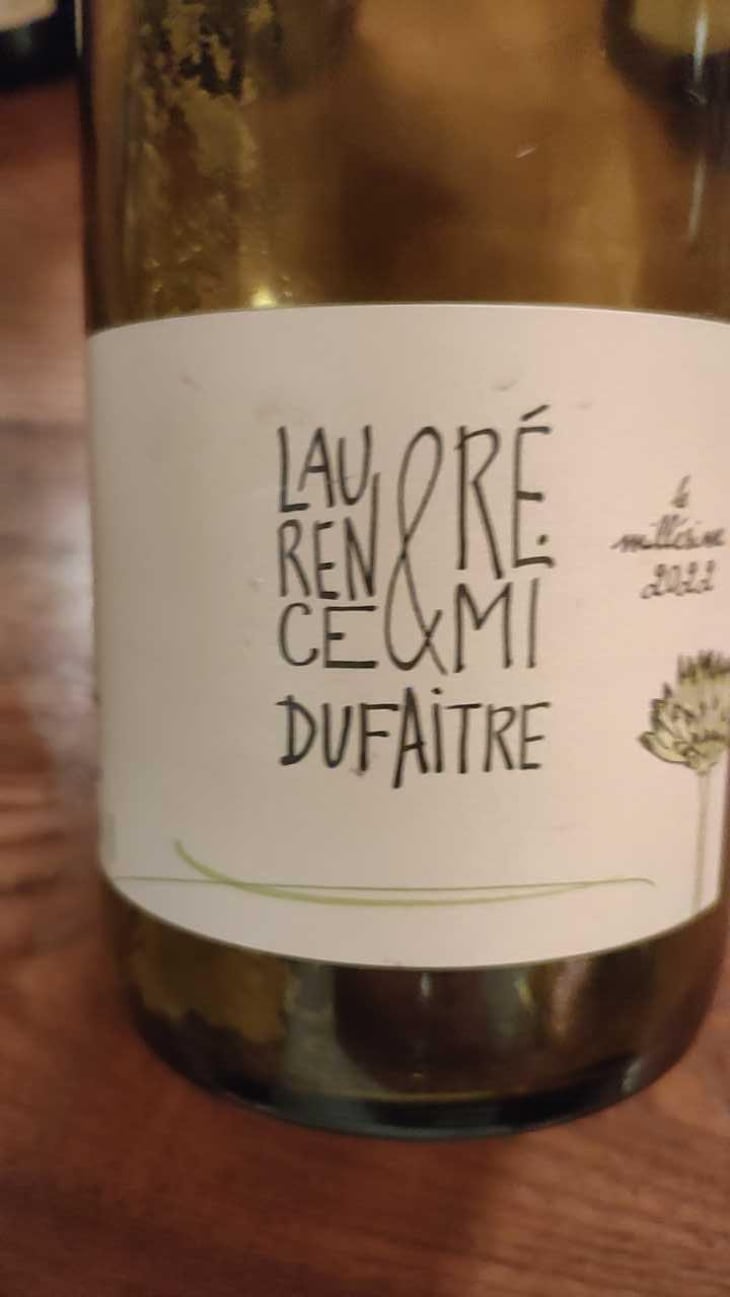 Brouilly - Domaine de Botheland - Rémi Dufaitre & Laurence Liatard 
