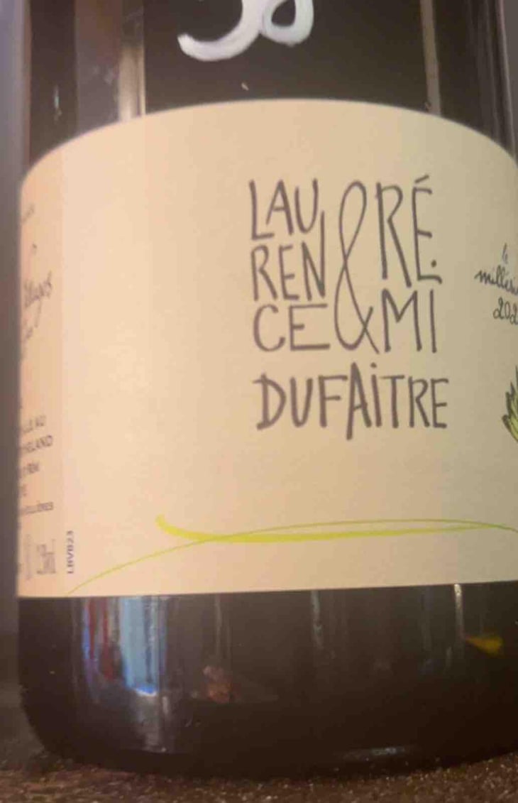 Brouilly - Domaine de Botheland - Rémi Dufaitre & Laurence Liatard 