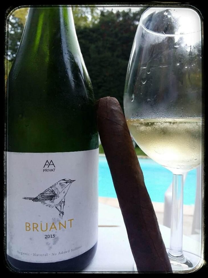 Bruant - El Celler de les Aus - Josep Maria & Mireia Pujol-Busquets 