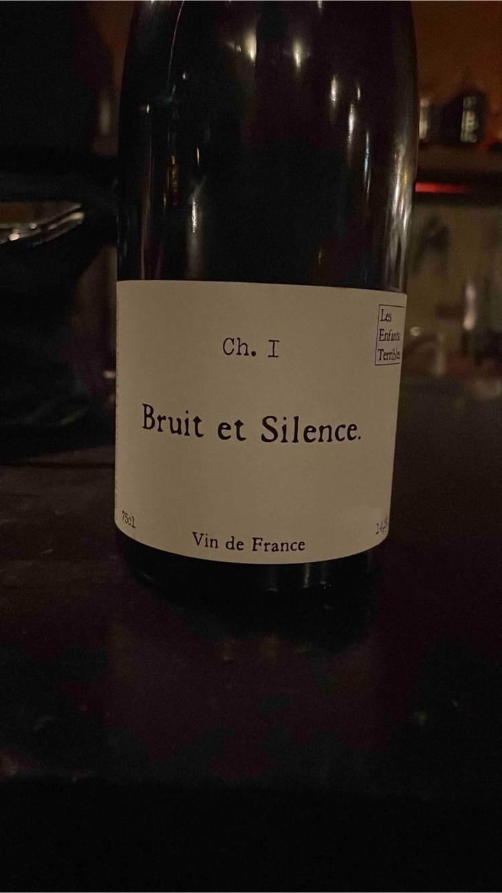 Bruit et Silence - Les Enfants Terribles - Jean & Sarah Fallay 