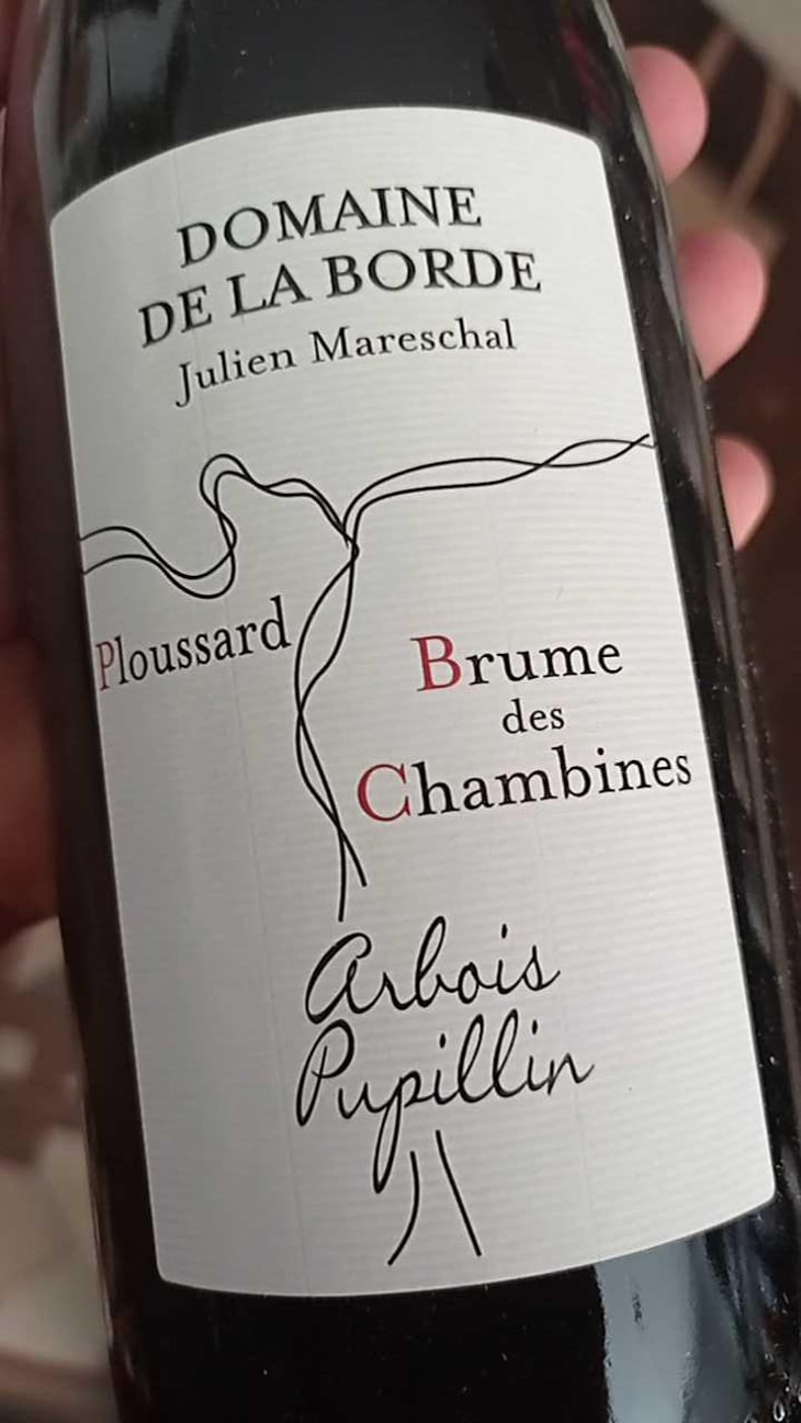 Brume Des Chambines - Domaine de la Borde - Julien Mareschal 