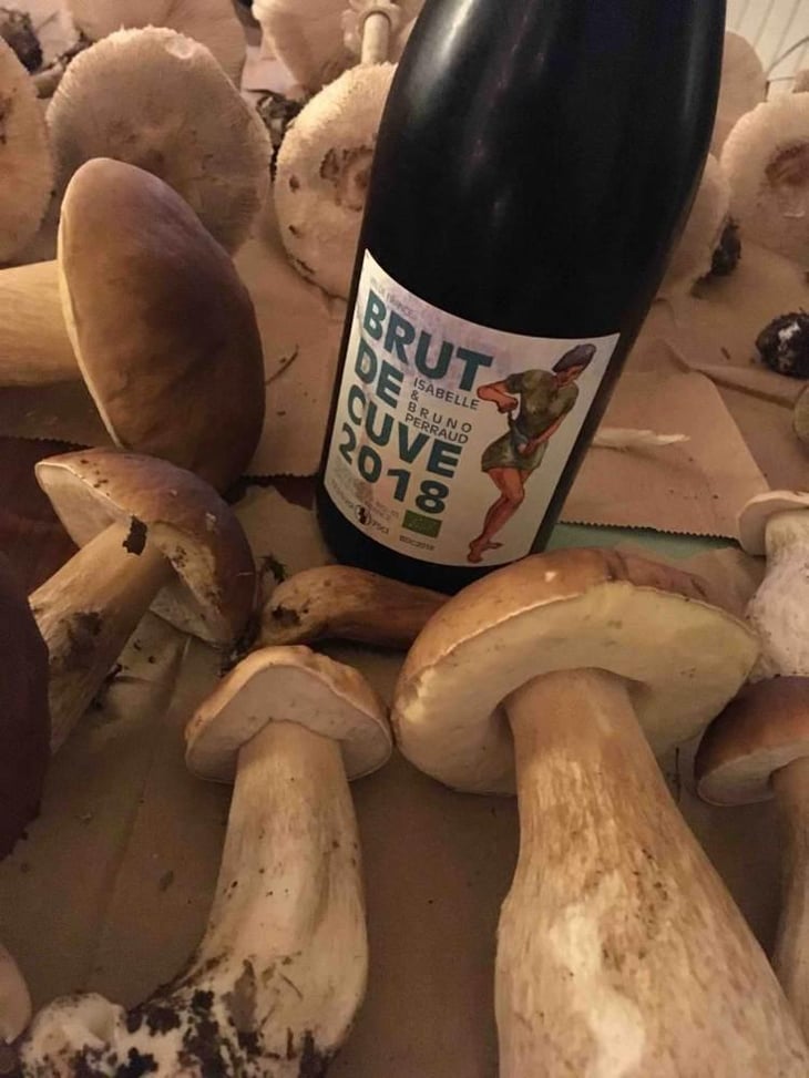 Brute de Cuve - Côtes de la Molière - Isabelle & Bruno Perraud 
