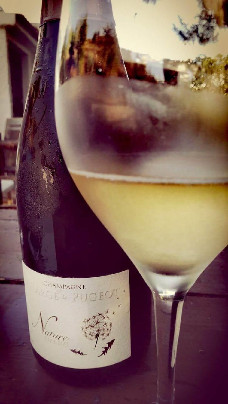 Brut Nature - Champagne Lelarge Pugeot - Famille Lelarge 