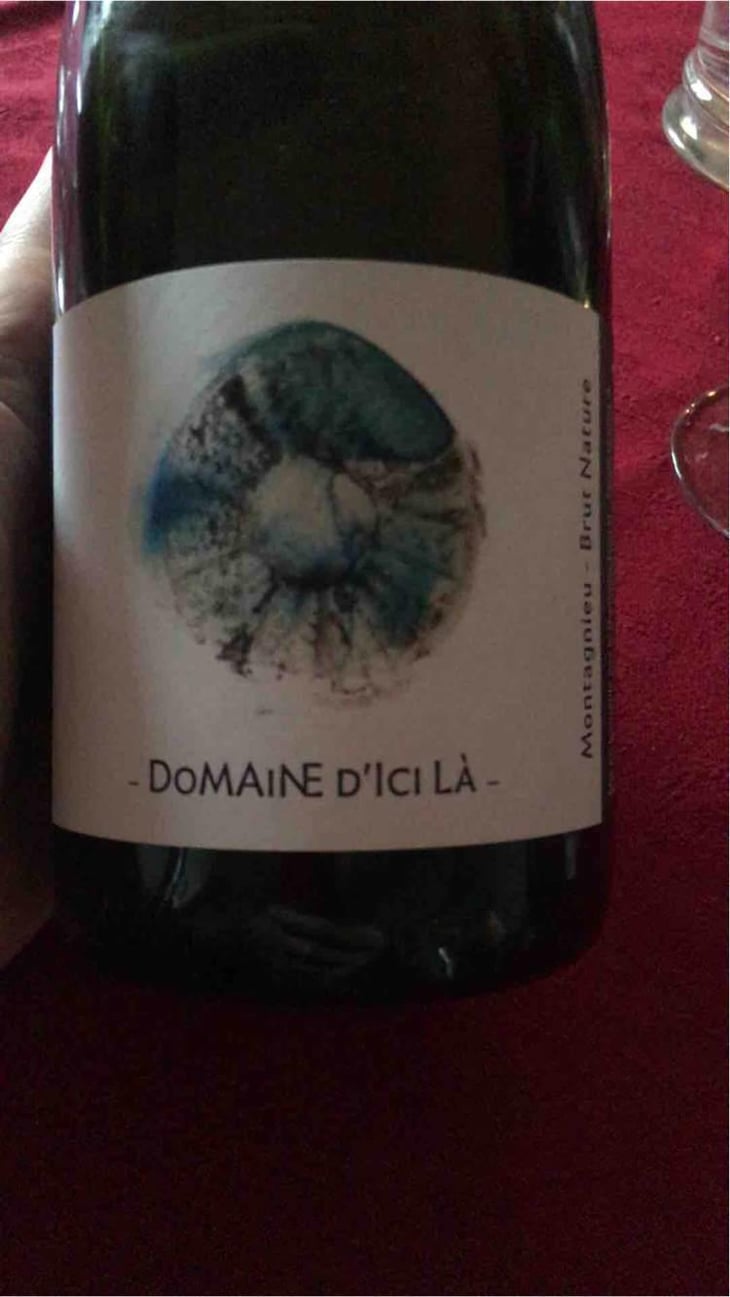 Brut Nature - Domaine D'ici là - Adrien Bariol 