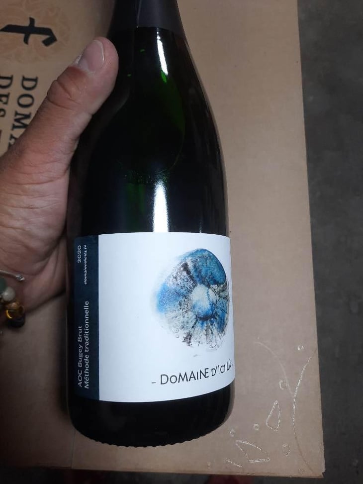 Brut Nature - Domaine D'ici là - Adrien Bariol 