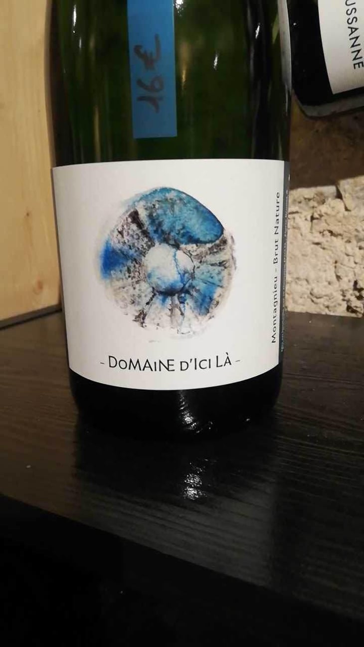 Brut Nature - Domaine D'ici là - Adrien Bariol 