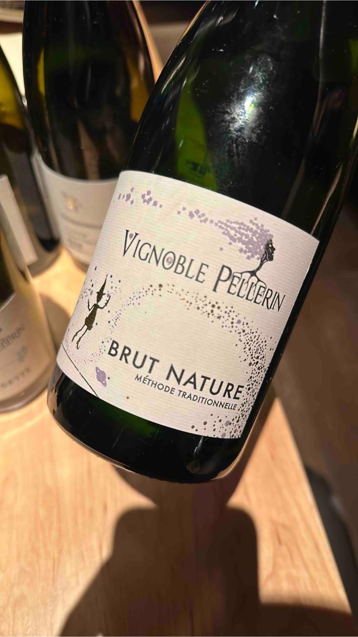 Brut Nature - Vignoble Pellerin - Jean-Christophe, Baptiste & Lucien Pellerin 