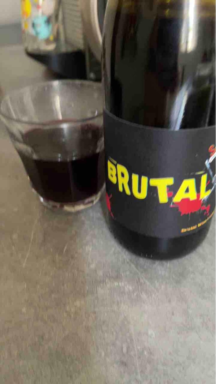 Brutal - Le Temps Fait Tout - Rémi Poujol 