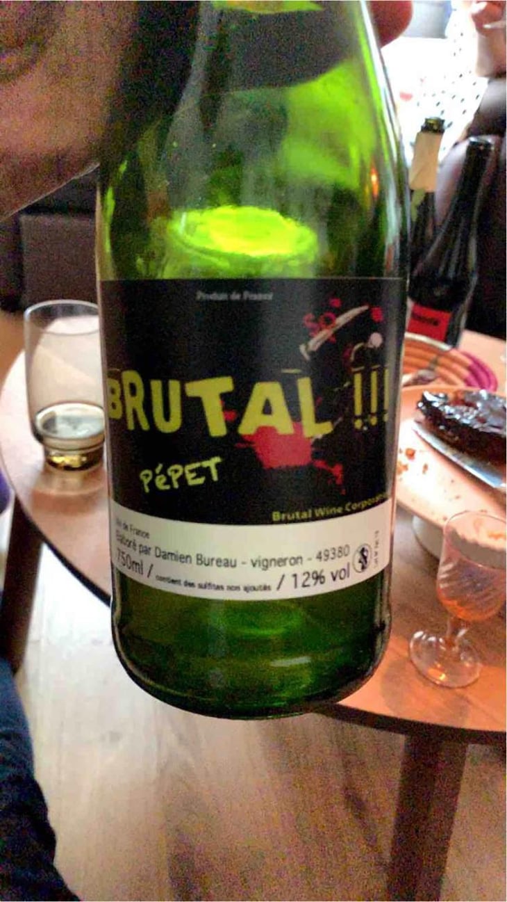 Brutal Pépet - Damien Bureau - Damien Bureau -2016