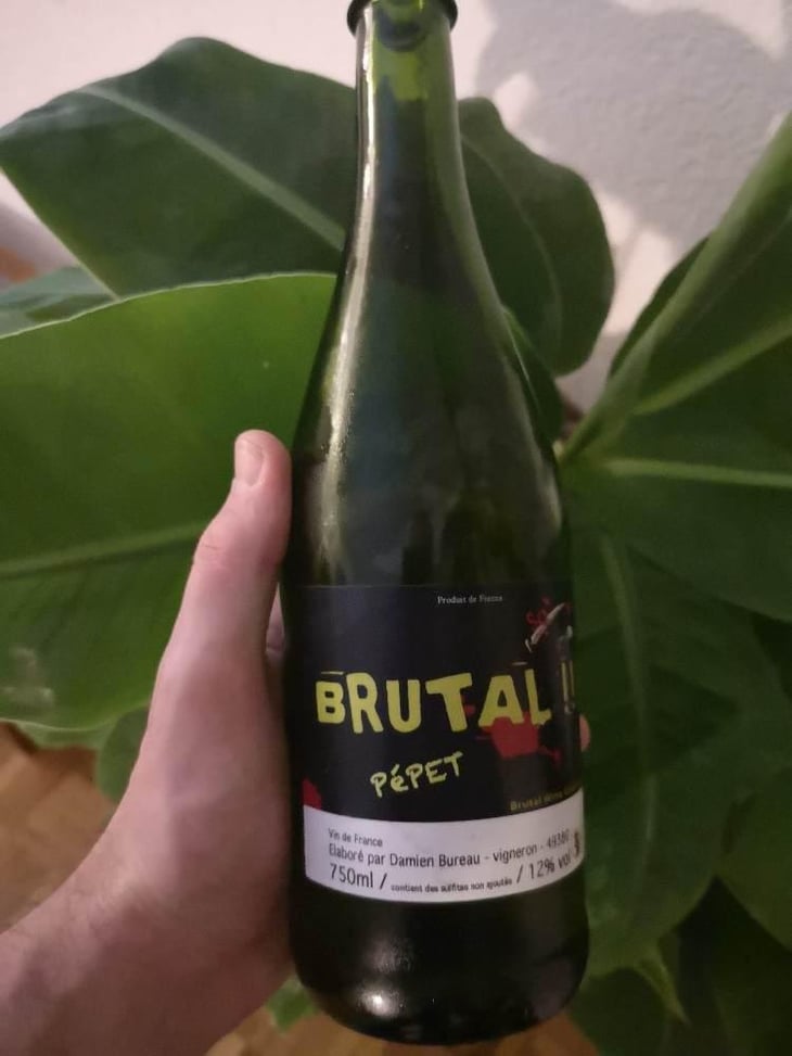 Brutal Pépet - Damien Bureau - Damien Bureau -2016