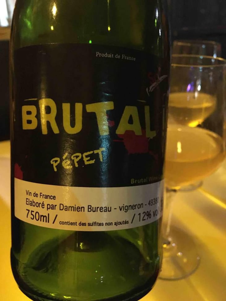 Brutal Pépet - Damien Bureau - Damien Bureau -2016
