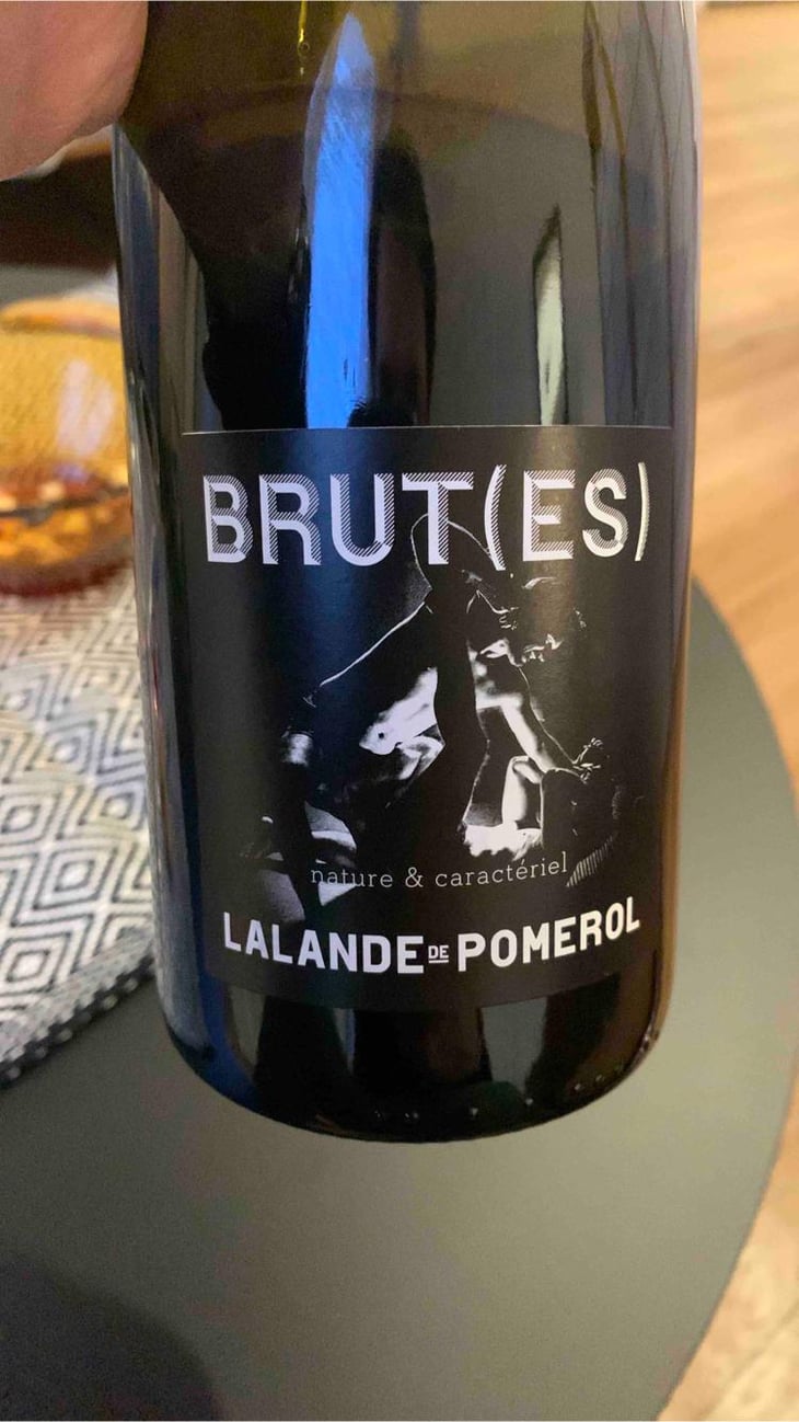 Brut(es) - Marius Bielle - Damien Bielle -2020
