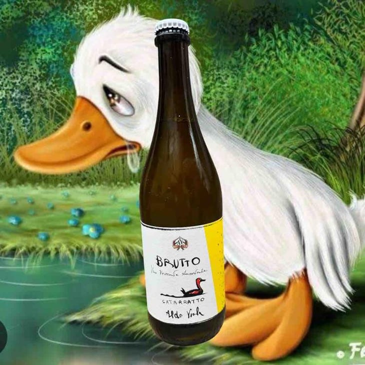 Brutto Catarratto - Azienda Agricola Aldo Viola - Aldo Viola 