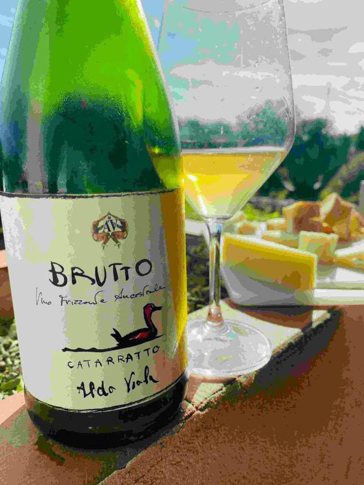 Brutto Catarratto - Azienda Agricola Aldo Viola - Aldo Viola 