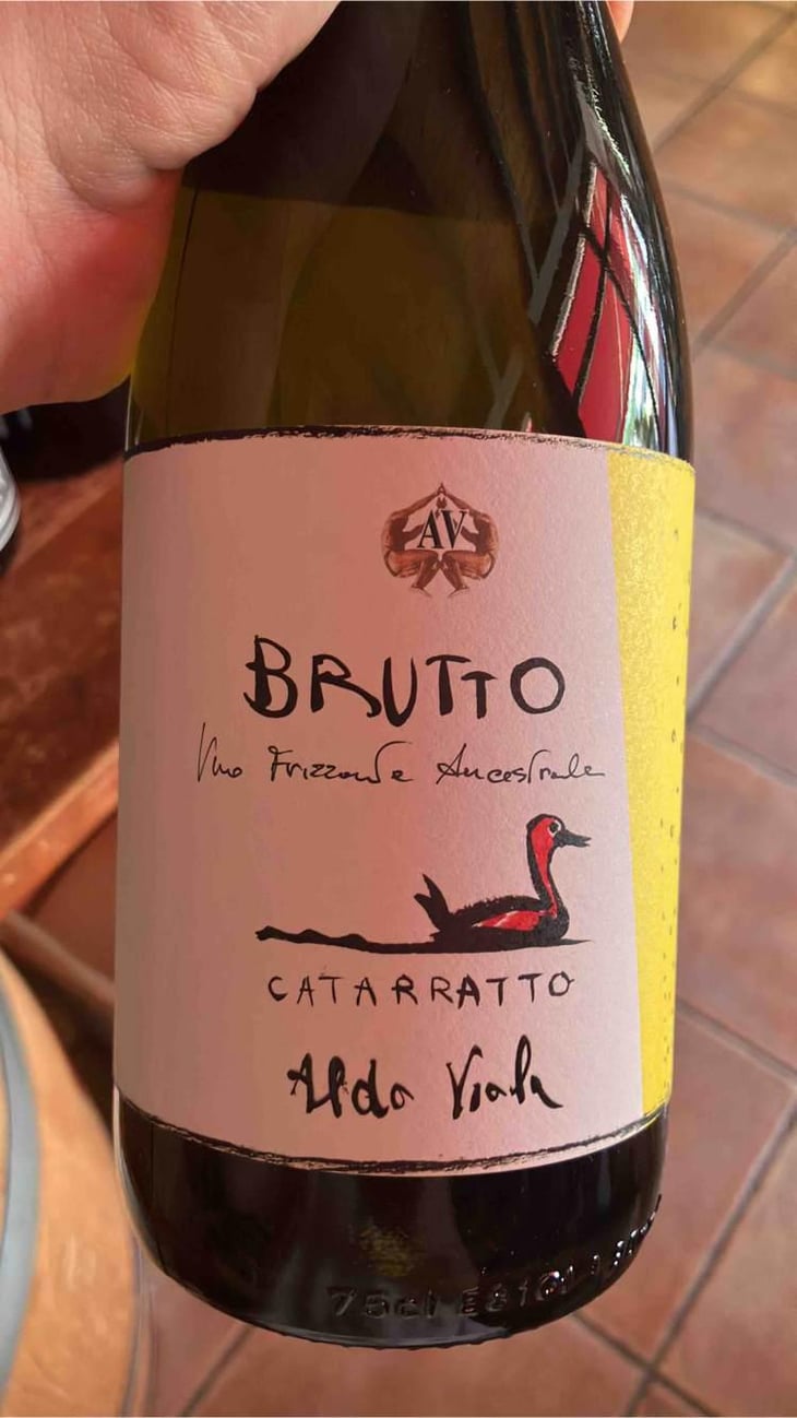 Brutto Catarratto - Azienda Agricola Aldo Viola - Aldo Viola 