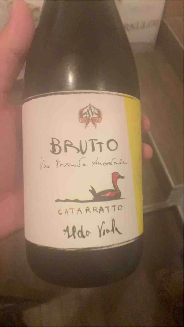 Brutto Catarratto - Azienda Agricola Aldo Viola - Aldo Viola 
