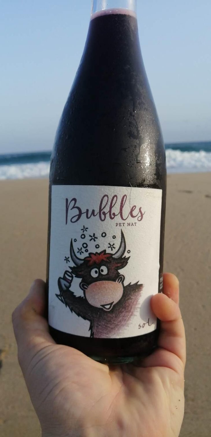 Bubbles Pet Nat - Sol - Michael Gindl 