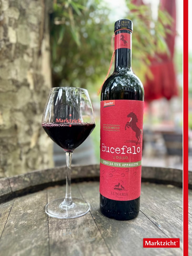 Bucefalo - Cantina Orsogna - Cantina Orsogna -2020