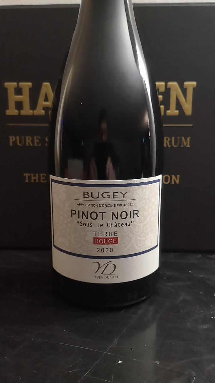 Bugey Sous le Château Pinot Noir Terre Rouge - Maison Yves Duport - Yves Duport -2018