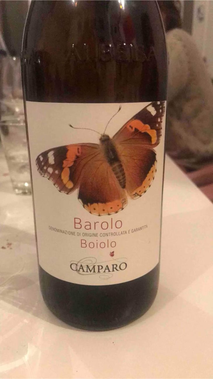 Domani Boiolo - Azieda Agricola Campàro - Mauro Drocco 