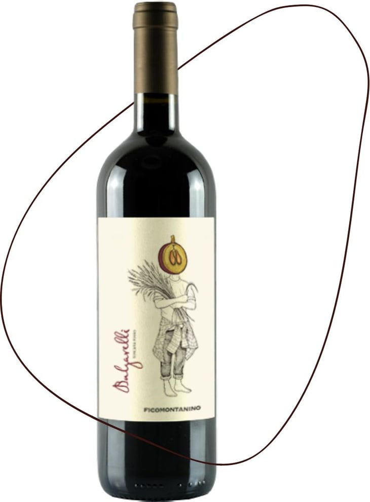 Bulgarelli - Agricola Ficomontanino - Maria Sole Giannelli 