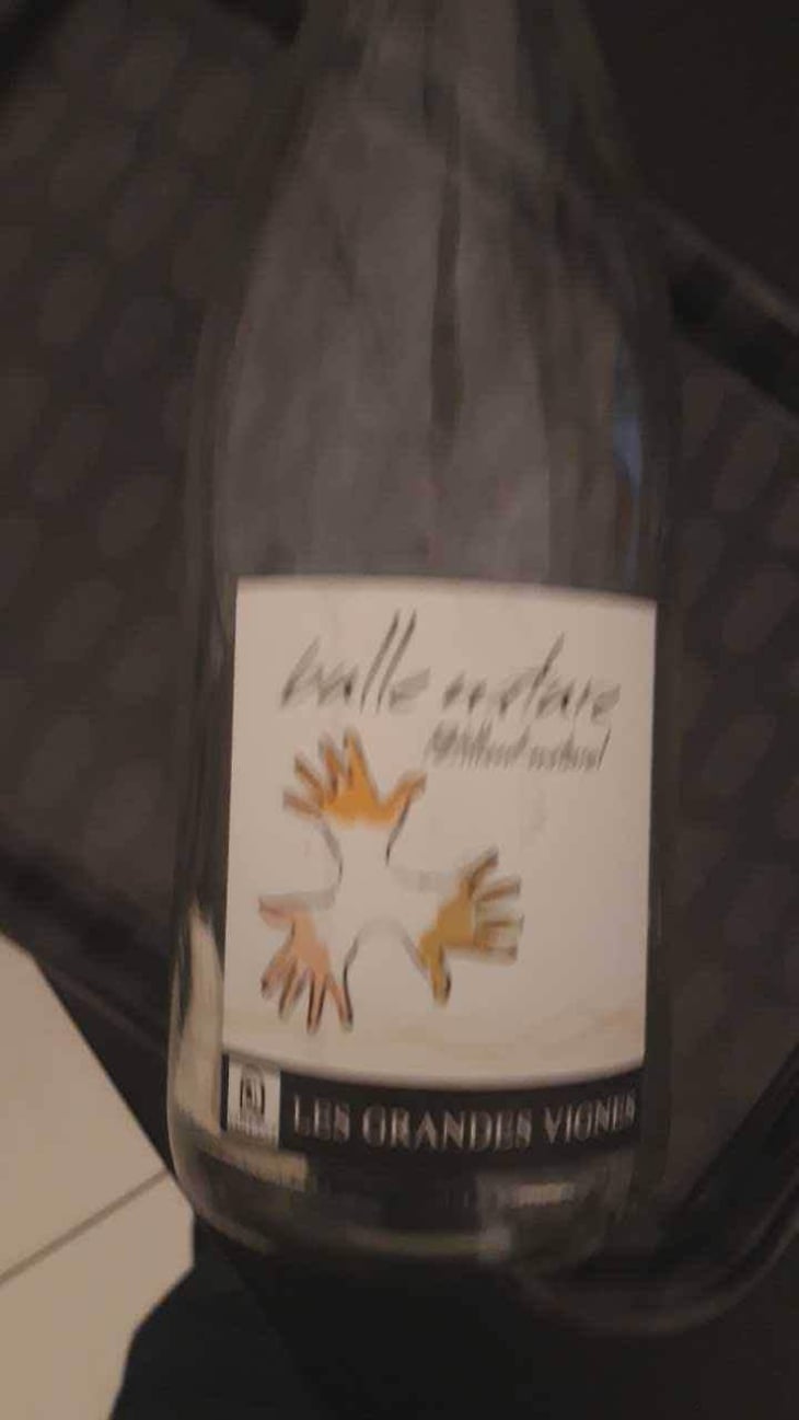 Bulle Nature Pet Nat blanc - Les Grandes Vignes - Laurence, Dominique & Jean-François Vaillant 