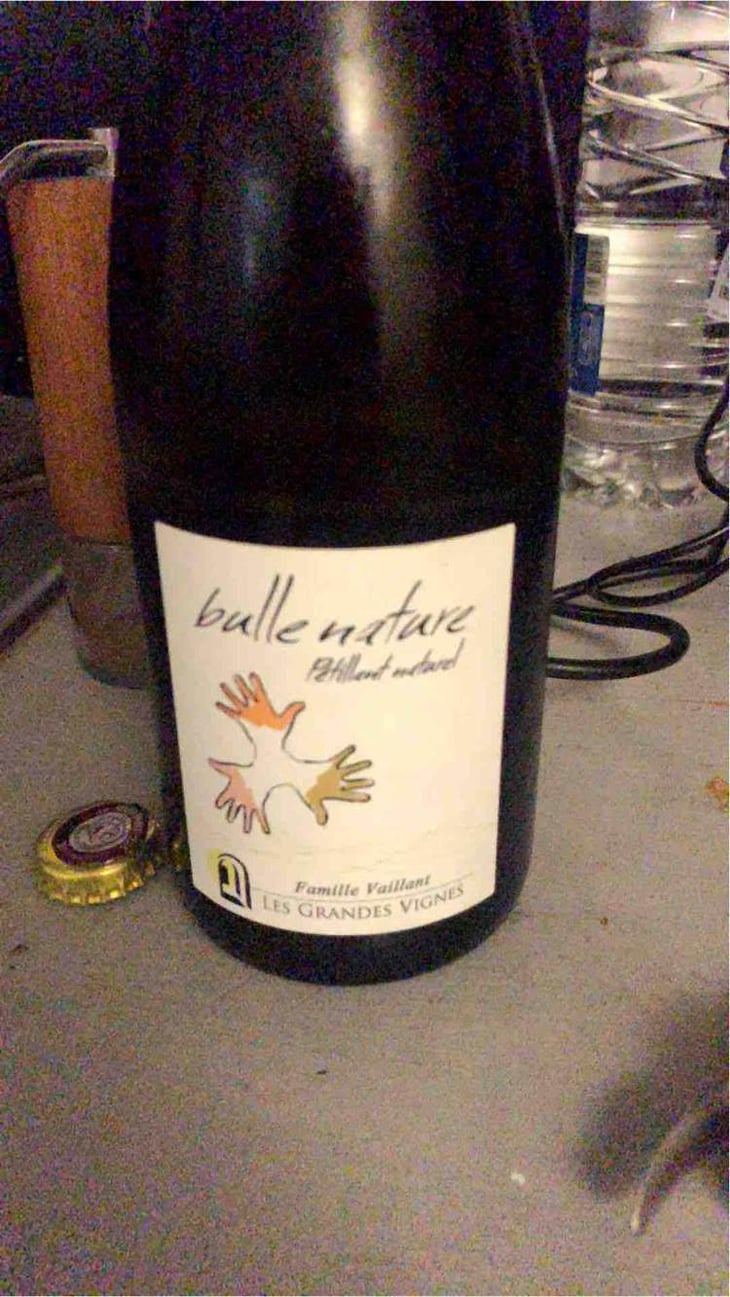 Bulle Nature Pet Nat blanc - Les Grandes Vignes - Laurence, Dominique & Jean-François Vaillant 