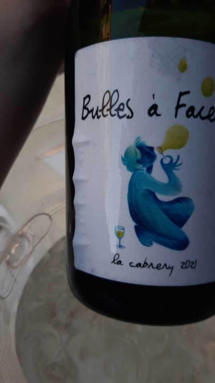 Bulle à Facettes - La Cabrery - Ferme collective Longo Maï 